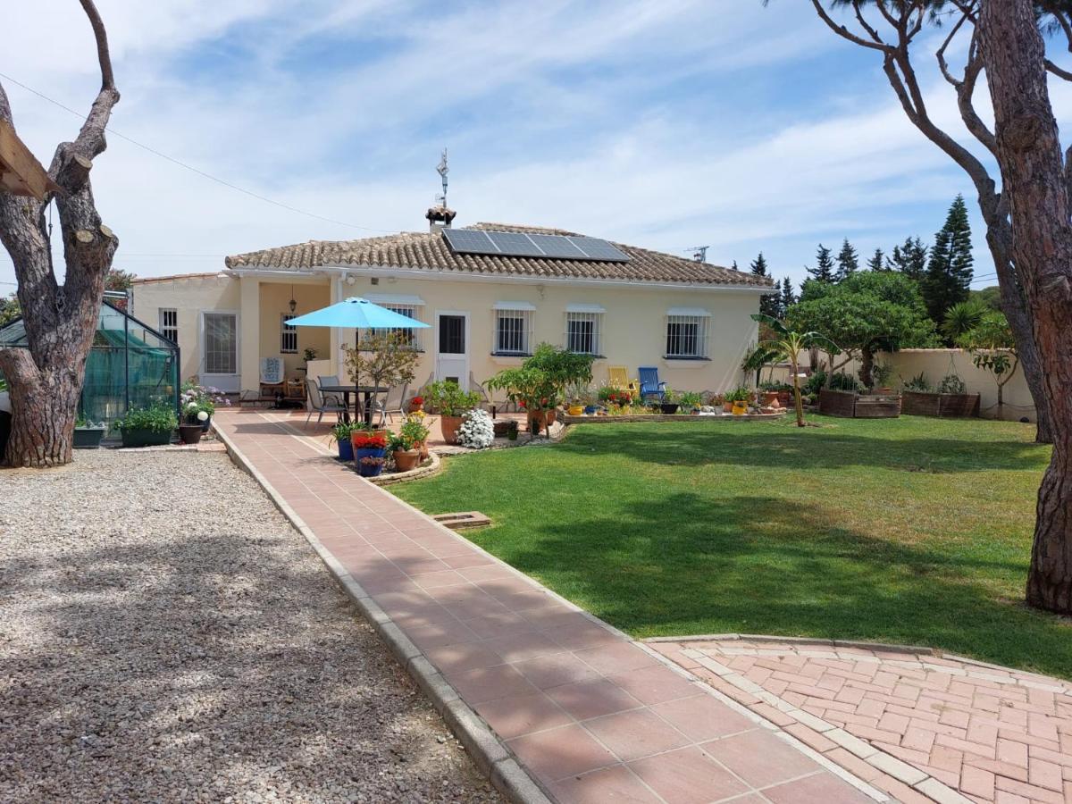 Casa Ohana Novo Sancti Petri Cádiz Dış mekan fotoğraf